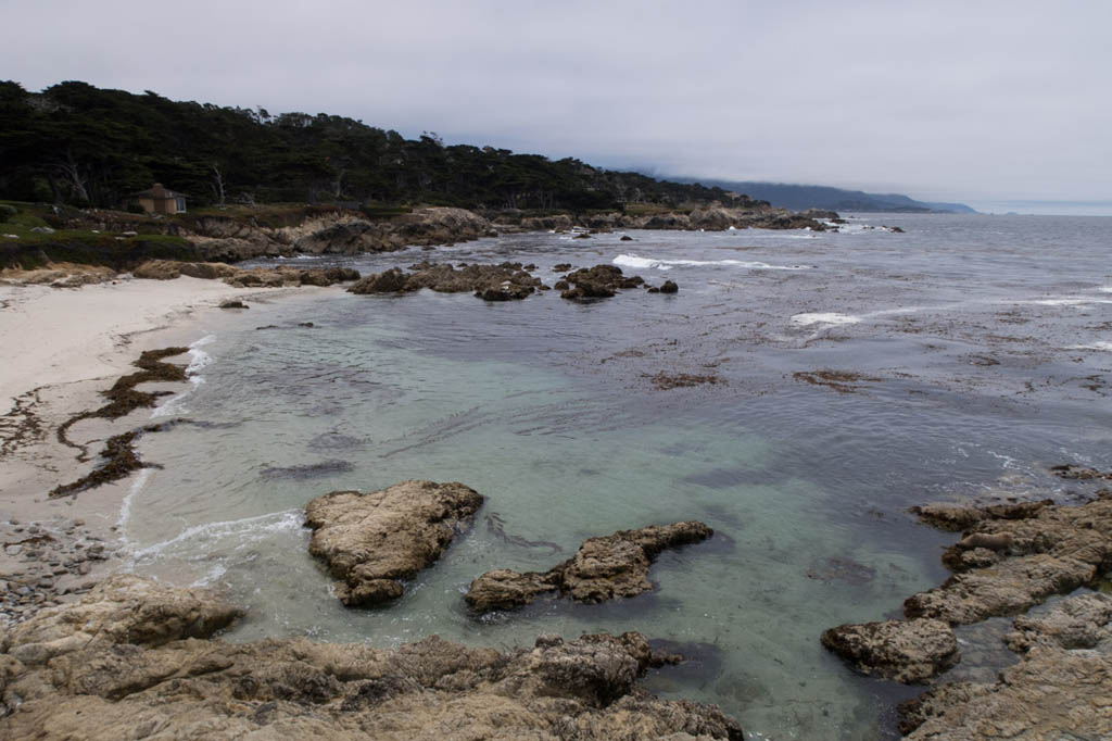 Coastal views in Big Sur and Carmel, California