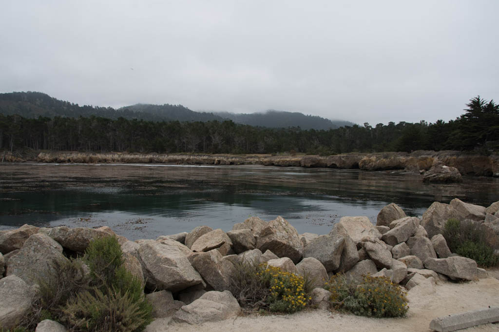 Whalers Cove | Point Lobos State Reserve