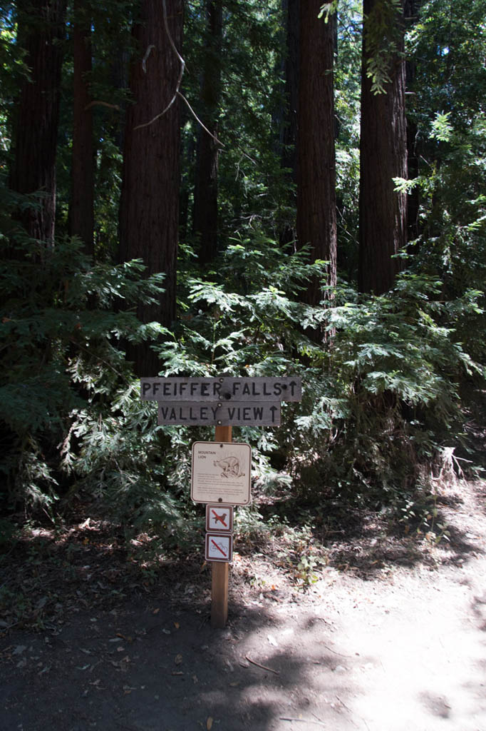 Trail hikes at Pfeiffer Big Sur State Park