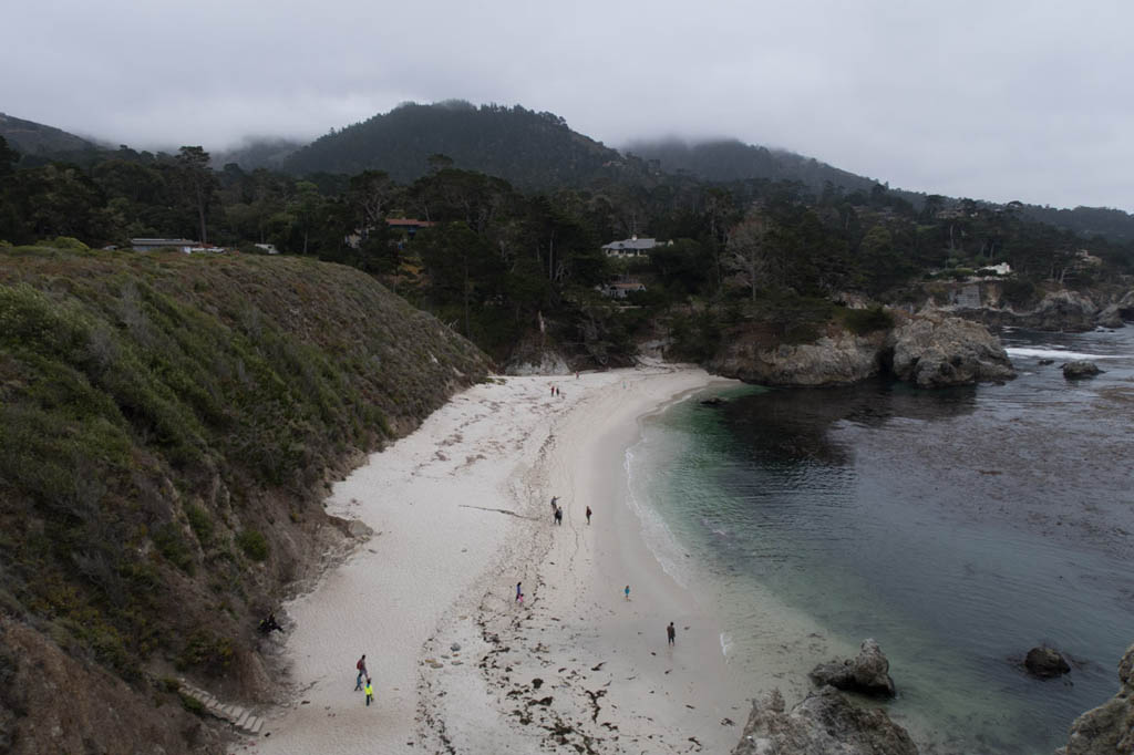 Other beaches along Bird Island Trail at Point Lobos State Reserve