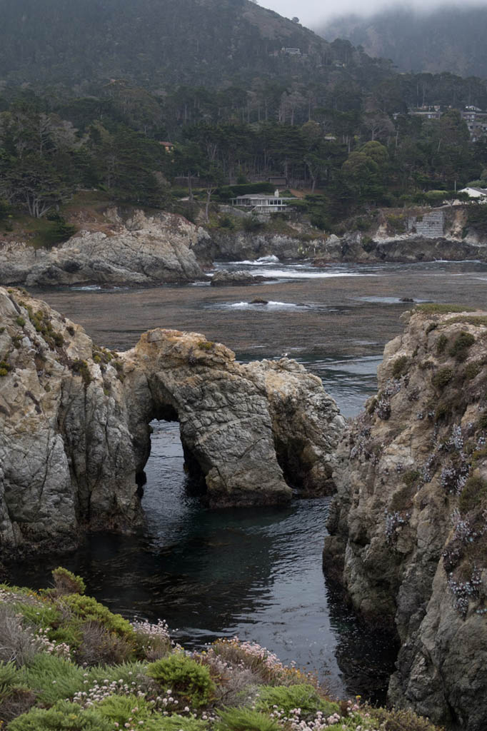 Bird Island Trail | Point Lobos | Northern California State Parks