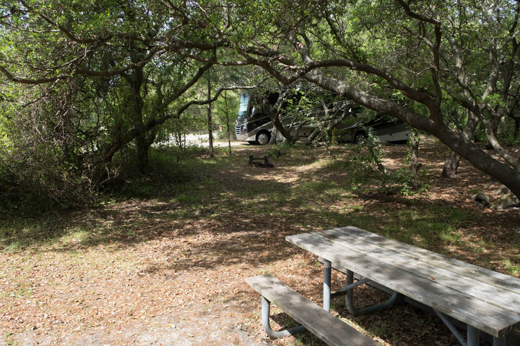 Campsites at First Landing State Park