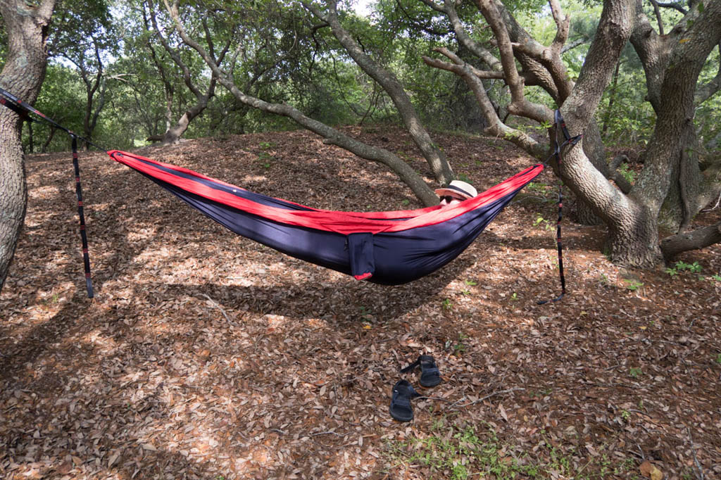 Hammock at campsite