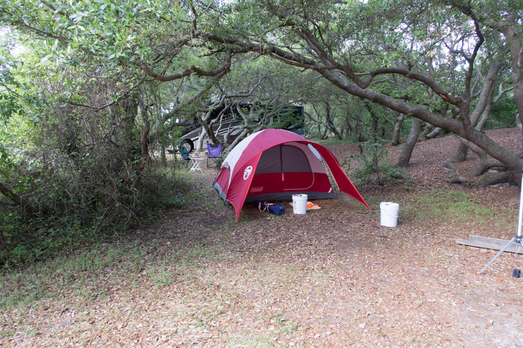 Space between sites at first landing state park