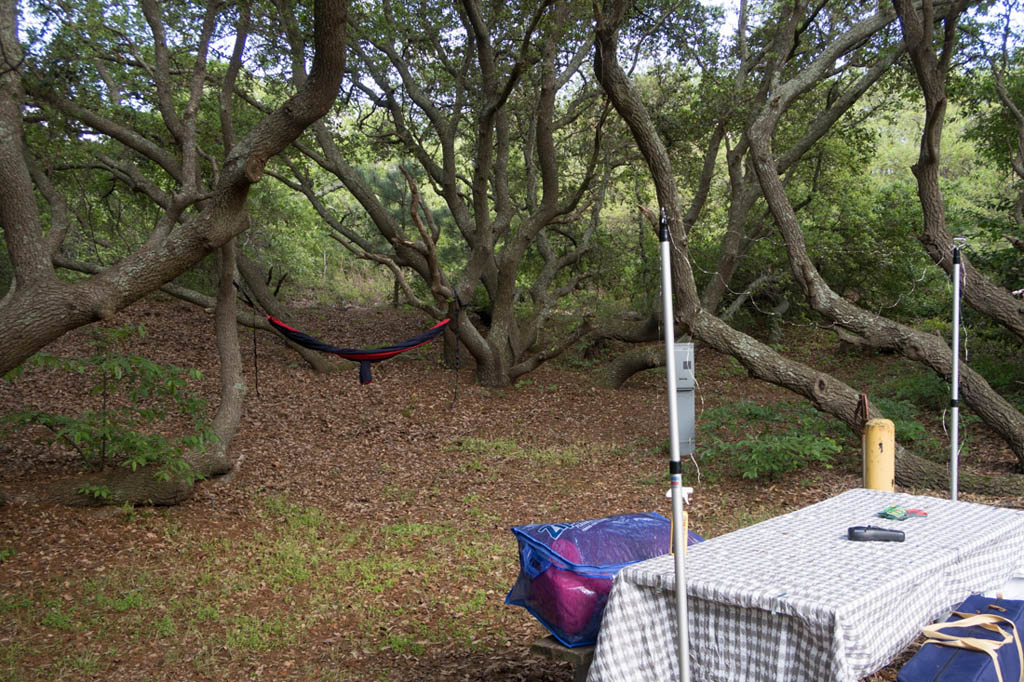 Tent camping at First Landing State Park