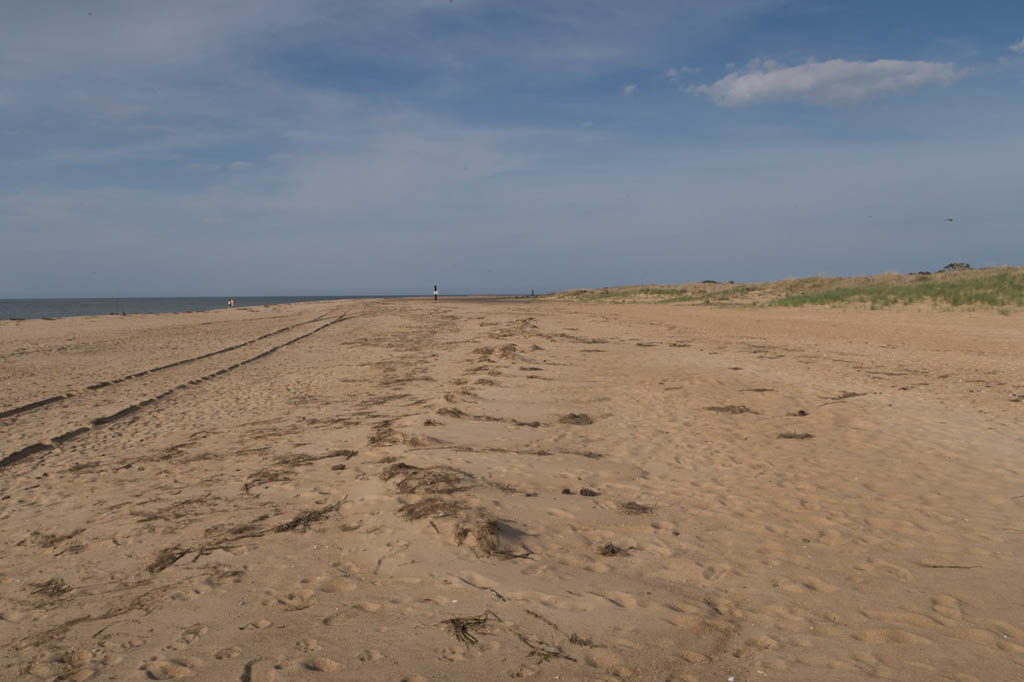 Beach at First Landing State Park