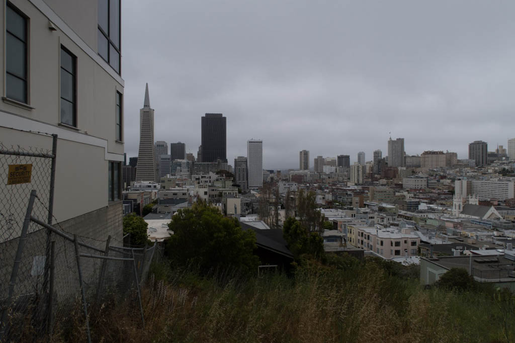 Views of San Francisco from Coit Tower