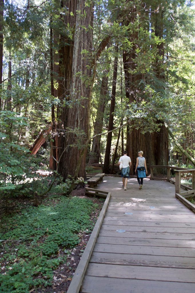 Muir Woods