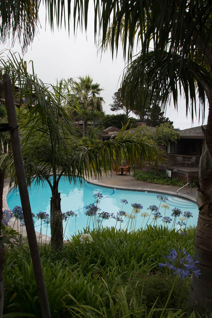 Pool at Hyatt Carmel Highlands