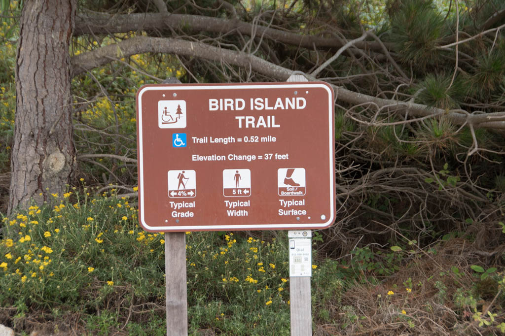 Bird Island Trail
