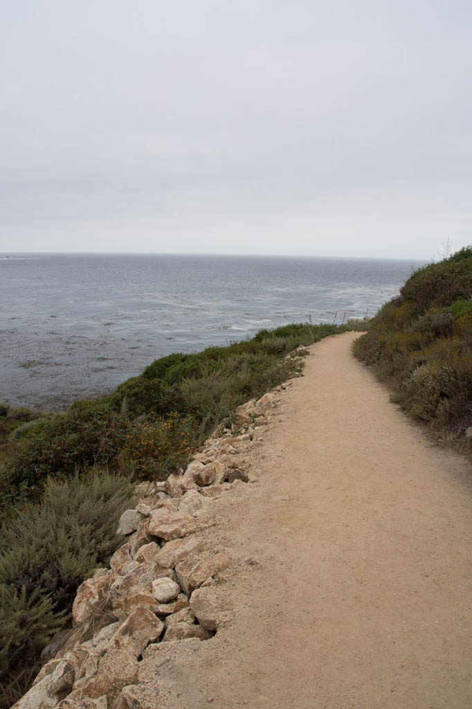 Bird Island Trail