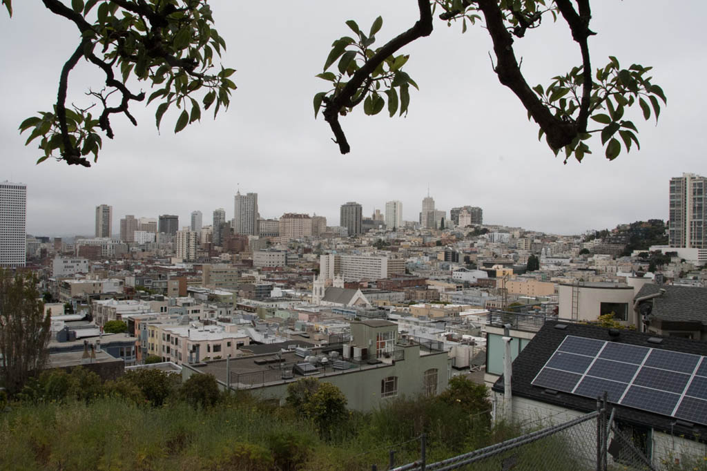 Views of San Francisco from Coit Tower