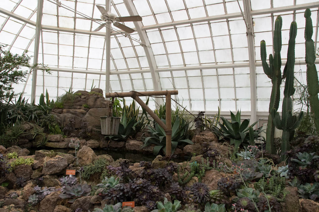 Inside San Francisco Botanical Garden
