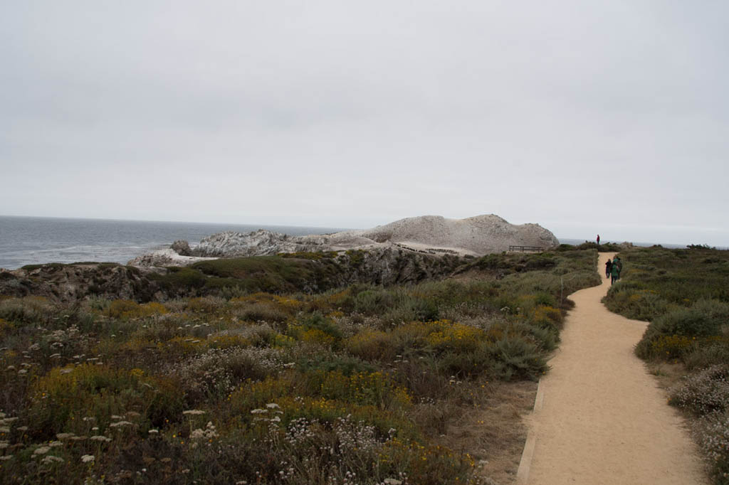 Bird Island Trail | Point Lobos | Northern California State Parks