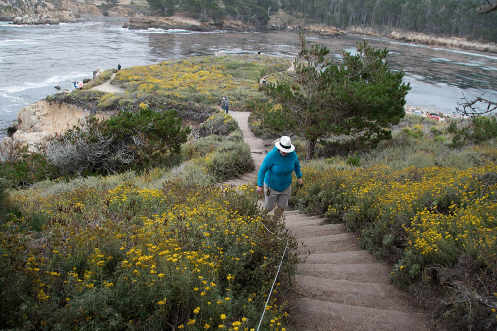 Steps at Whalers Cove