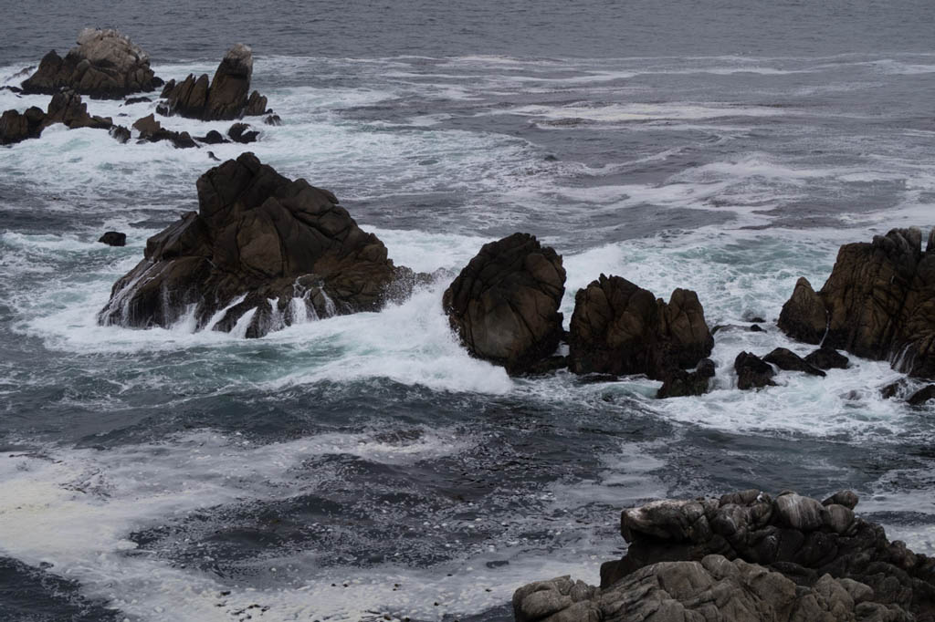 View of rocky coastline from Whalers Cove | Point Lobos State Reserve