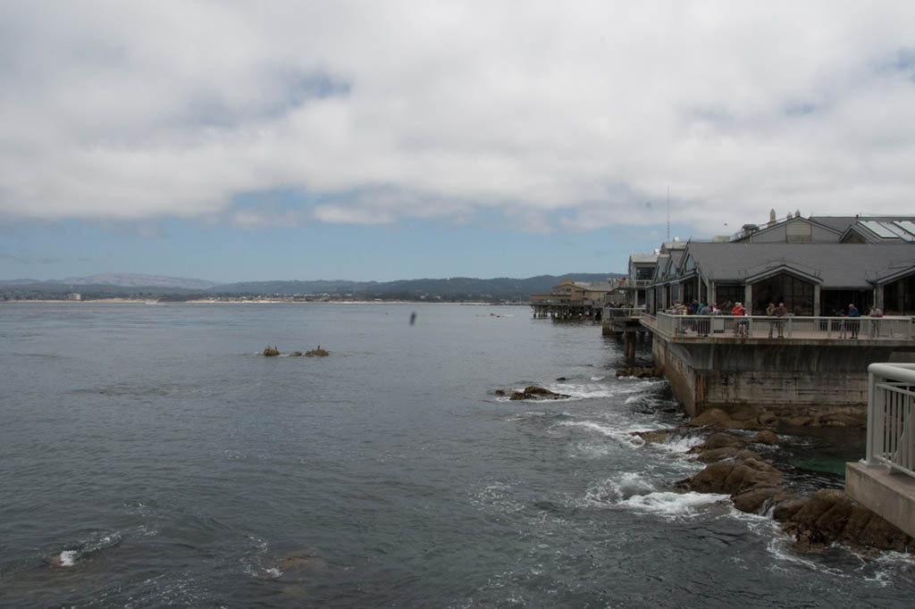 Views of Monterey Bay from the Aquarium Decks