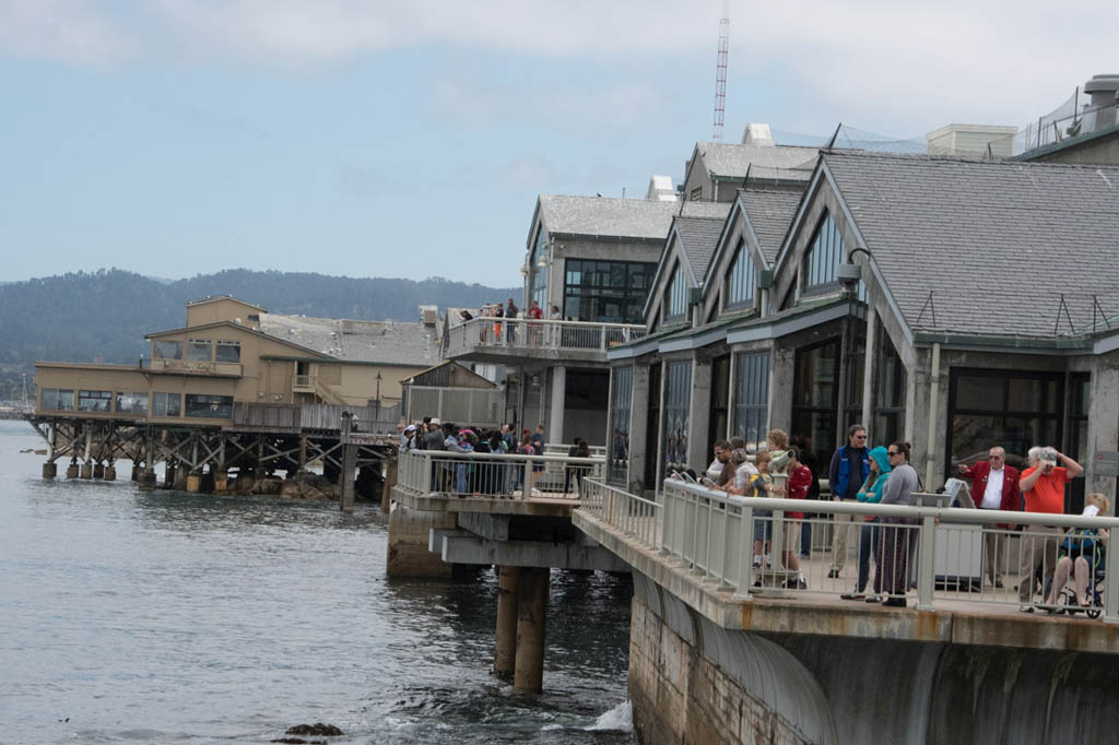 Views of Monterey Bay from the Aquarium Decks