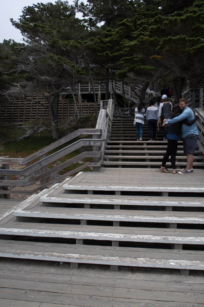 Steps that lead down to Lone Cypess Lookout