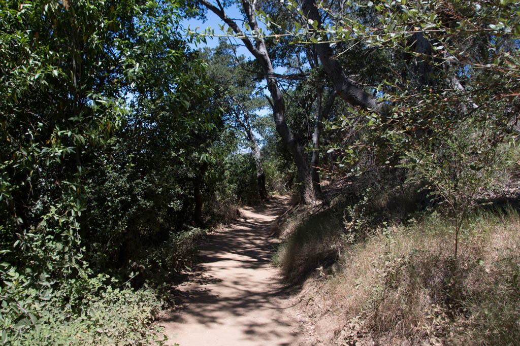 Trail hikes at Pfeiffer Big Sur State Park