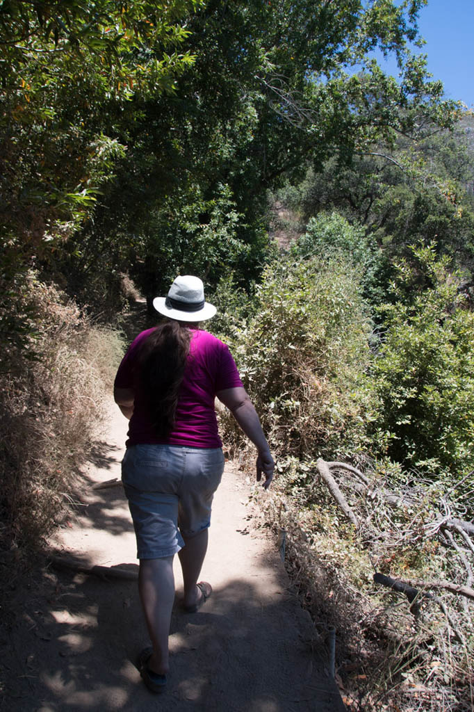 Trail hikes at Pfeiffer Big Sur State Park