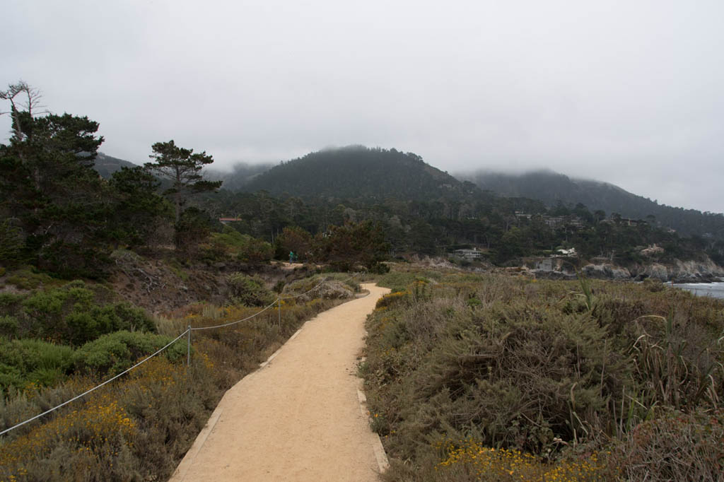 Bird Island Trail