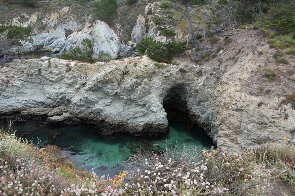 Emerald green water at Point Lobos State Reserve