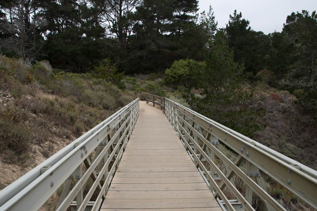 Bird Island Trail | Point Lobos | Northern California State Parks