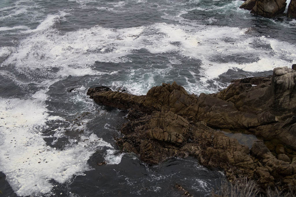 View of rocky coastline from Whalers Cove | Point Lobos State Reserve