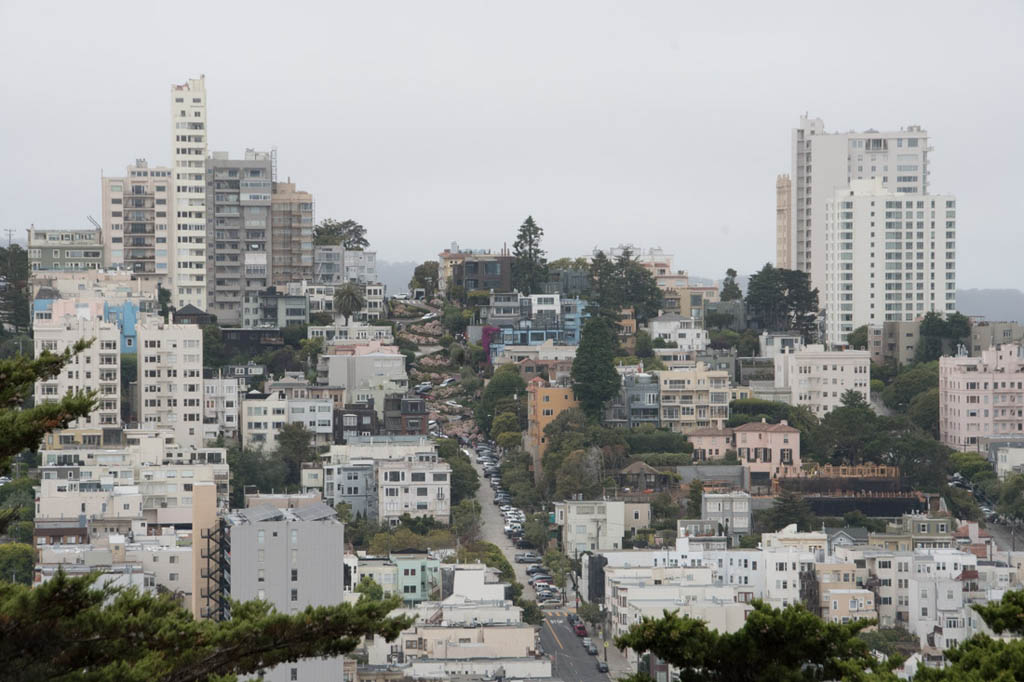 Views of San Francisco from Coit Tower