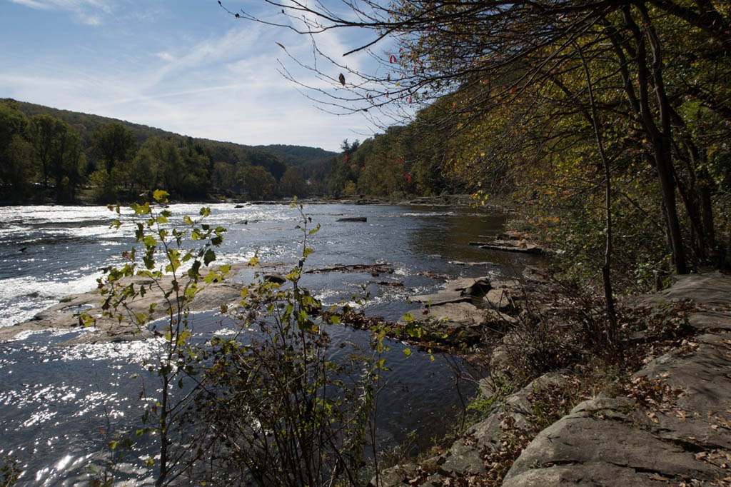 Fernwood trail at Ohipyle State Park