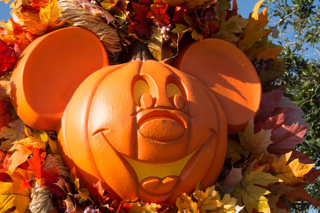 Mickey Mouse Pumpkin at Disney