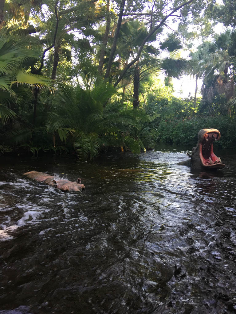 The Jungle Cruise at Magic Kingdom