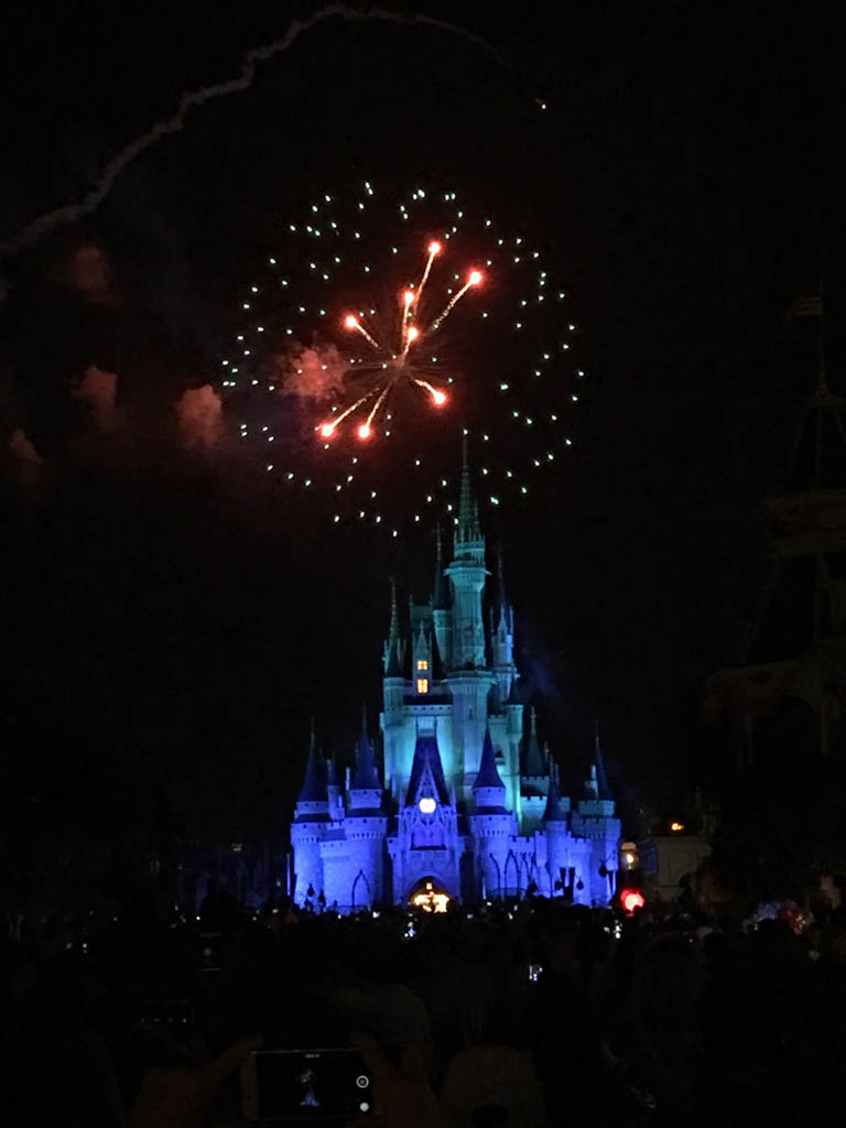 Wishes Fireworks