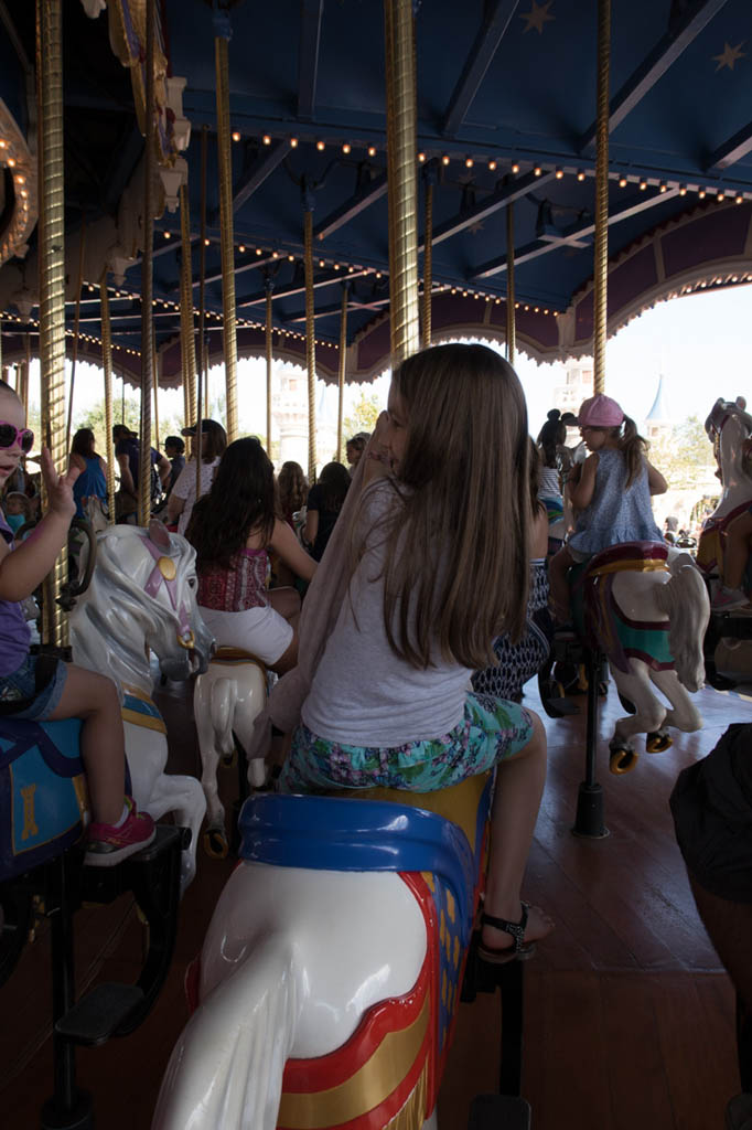 The Magic Kingdom Carousel