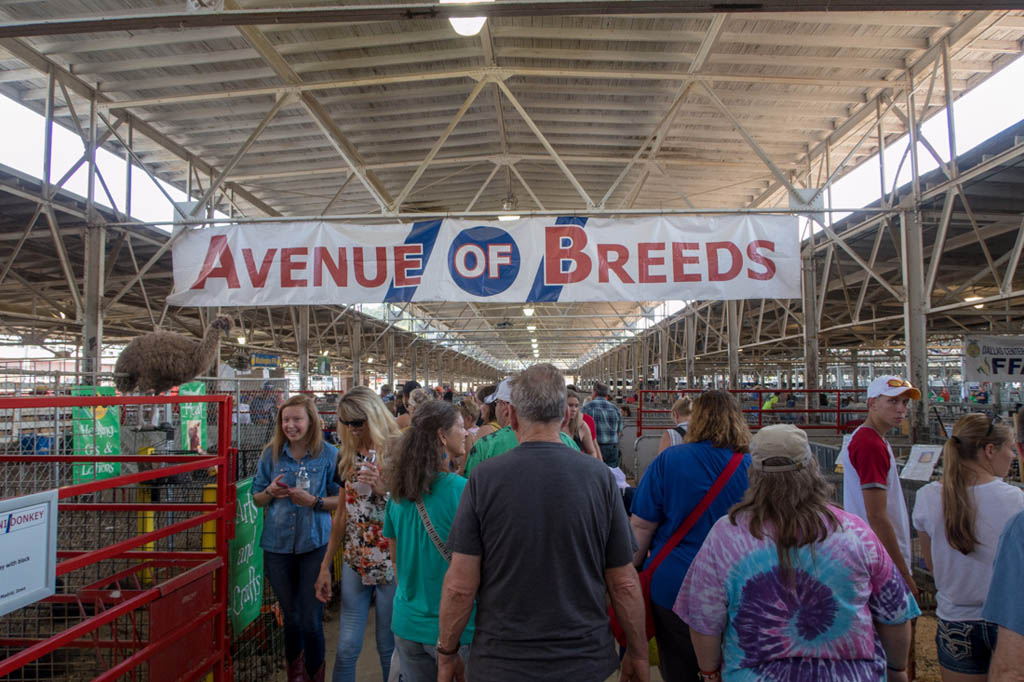 Avenue of Breeds sign at Iowa State Fair