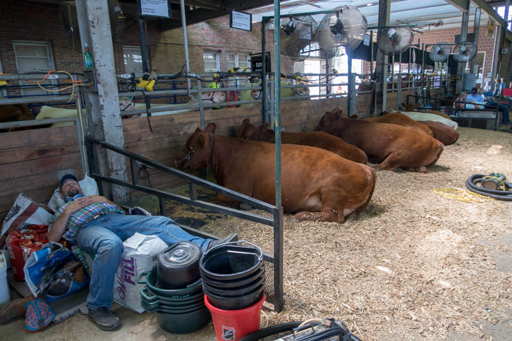 Another guy sleeping at Iowa State Fair