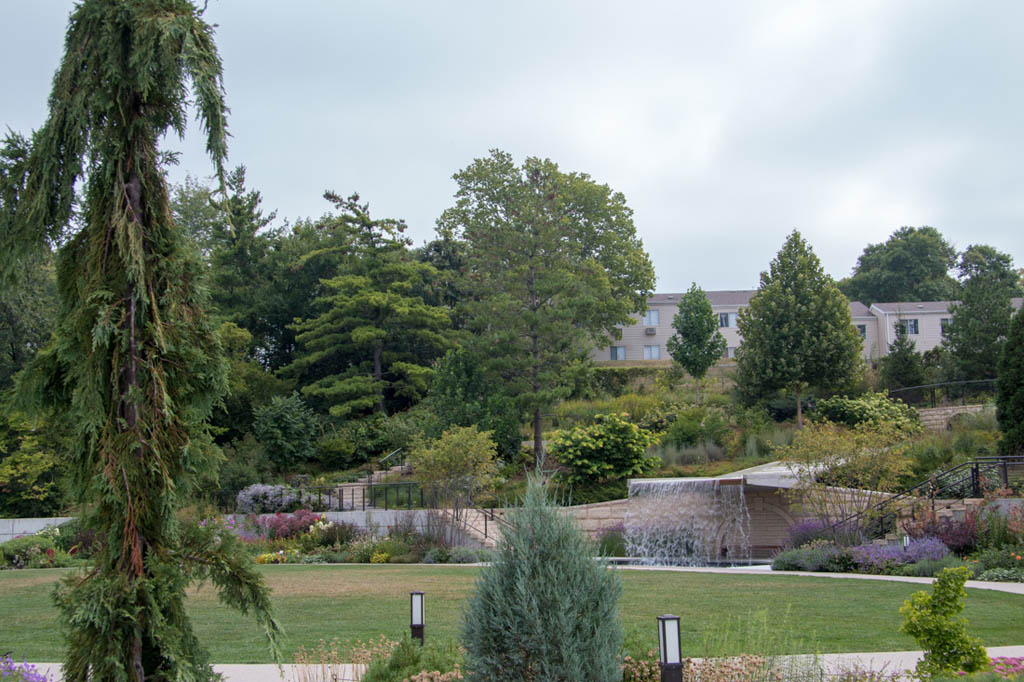 Outdoor botanical garden space