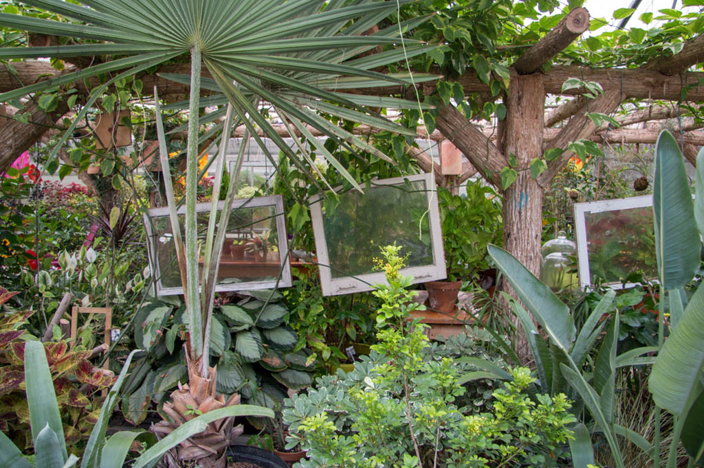 Rustic window decor and plants in the Garden area