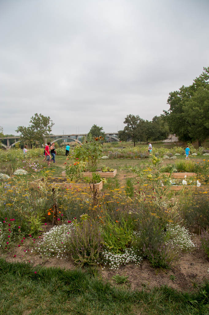 Outdoor botanical garden space