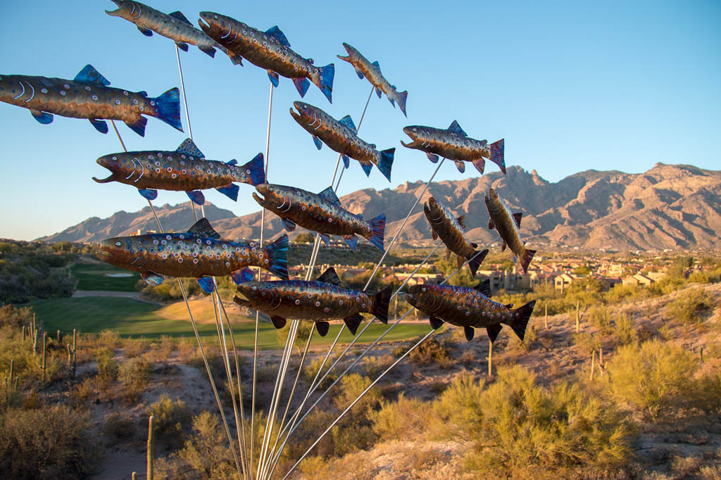 Art at Hacienda del Sol | Tucson Hotel