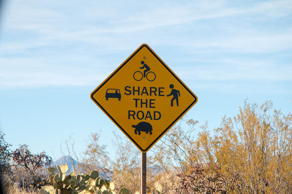 Share the road with turtles sign
