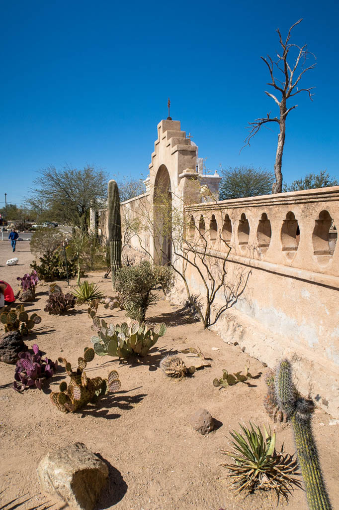 Cactus and landscaping at Mission San Xavier