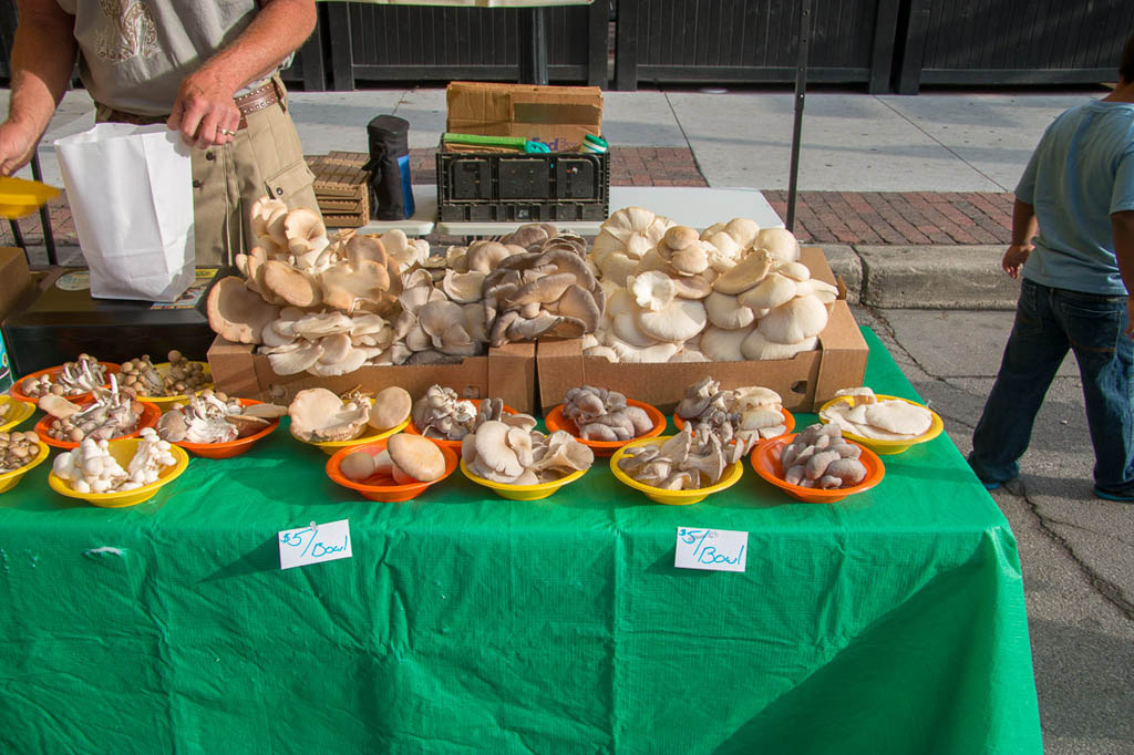 So many mushrooms at the Des Moines Farmer’s Market