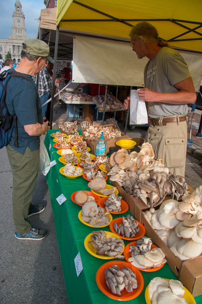 Mushrooms at Farmer’s Market
