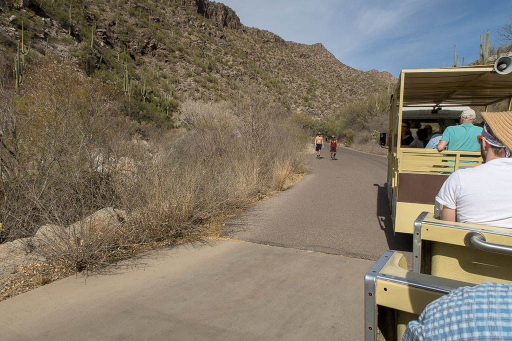 Tram ride in Sabino Canyon | Tucson Arizona