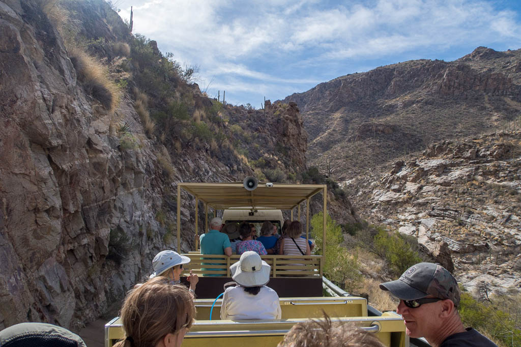 Tram Ride in Sabino Canyon
