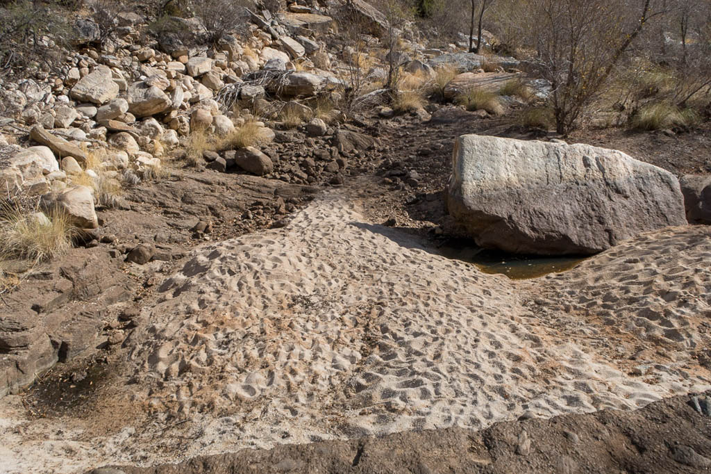 Dry riverbed in Sabino Canyon