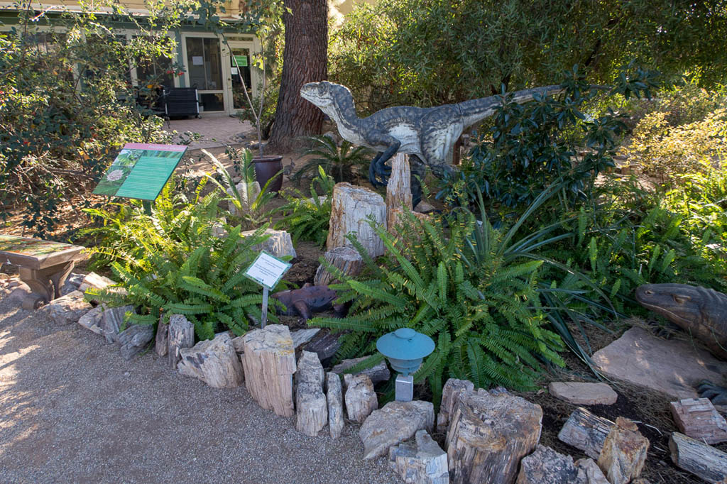 Aloe Alley at Tucson Botanical Gardens