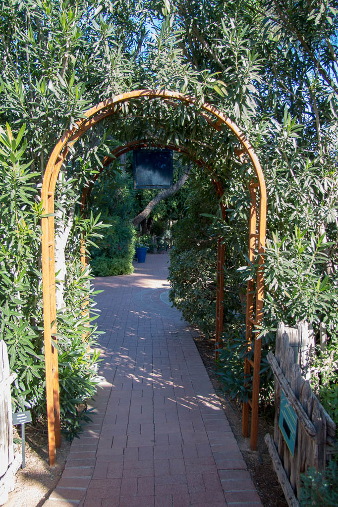 Herb garden area at Tucson Botanical Gardens